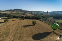 ballons_todi 174 july 19 2014